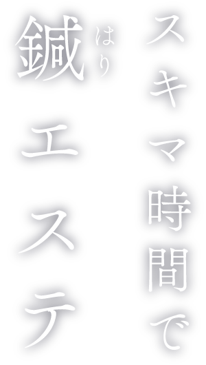 スキマ時間で 鍼（はり）エステ